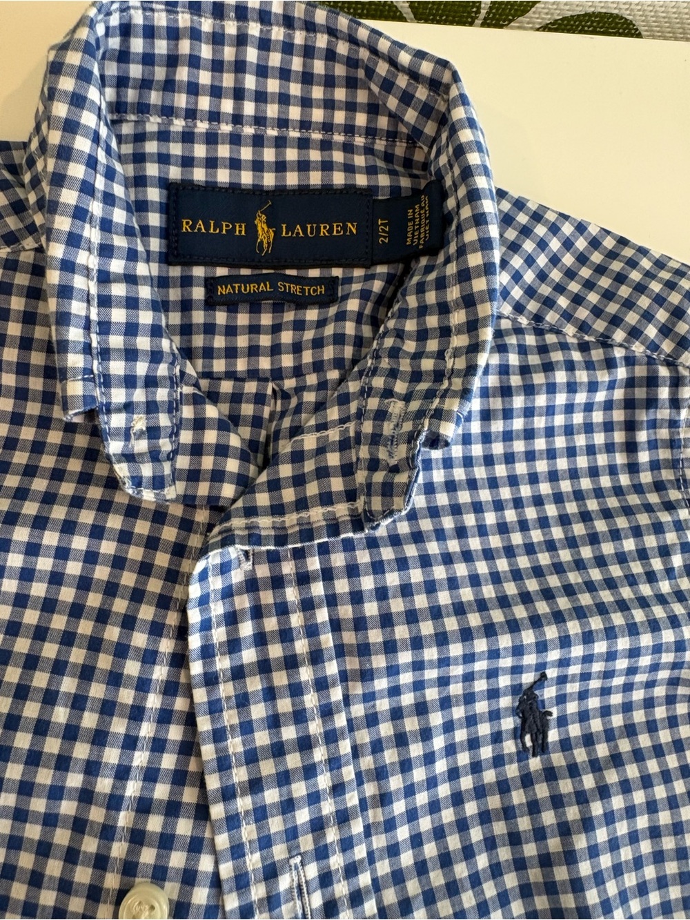 Ralph Lauren Blue and White Gingham Button-Down Shirt